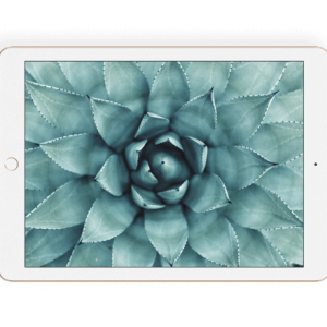 Apple iPad